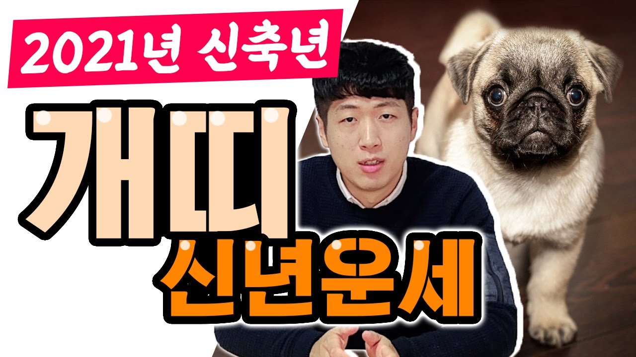 2021년 개띠 운세 Feat 개띠생 대박!? 혹은..