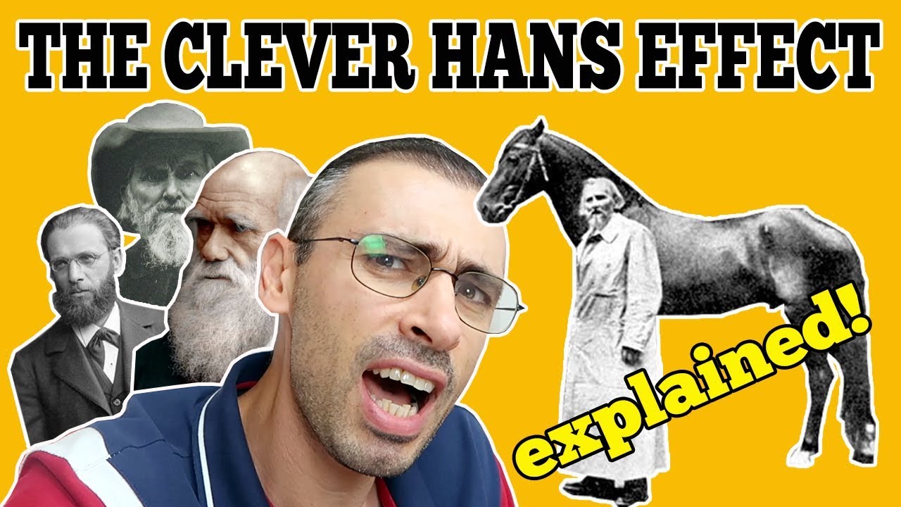 The Clever Hans Effect & The History of Hans the Horse