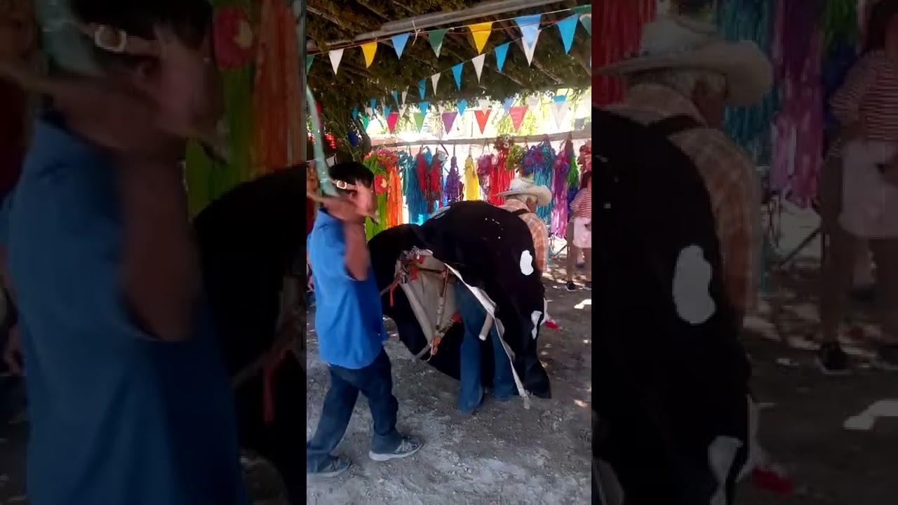 danza de los caballitos Bustamante tamaulipas