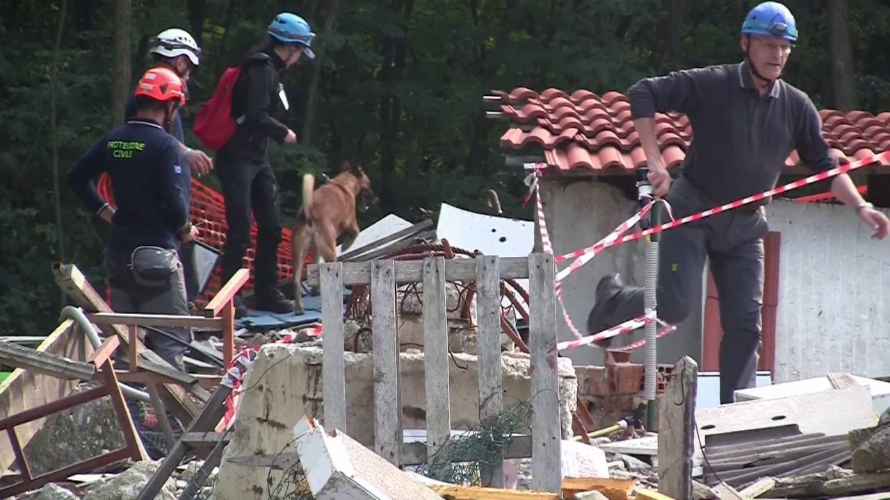 IRO Weltmeisterschaft der Rettungshunde 2016 - Turin, IT - Malinois Jaleo vom Herrenberger Schloss