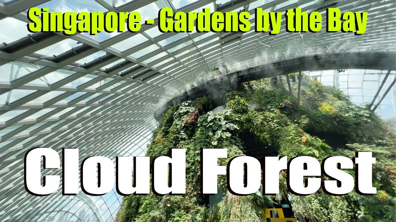 Cloud Forest, Singapore Gardens by the Bay. Rare and Exotic Plant Collection.