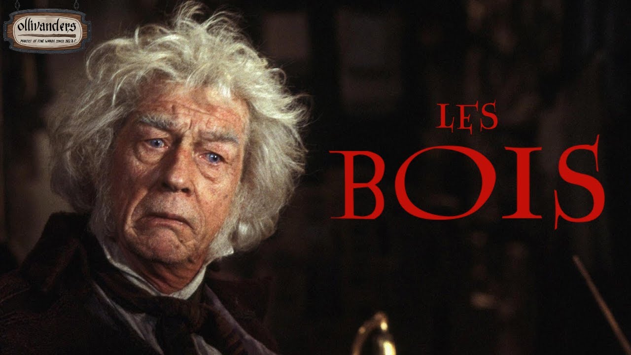 LES BAGUETTES MAGIQUES EXPLIQUÉES 2/2 - HARRY POTTER