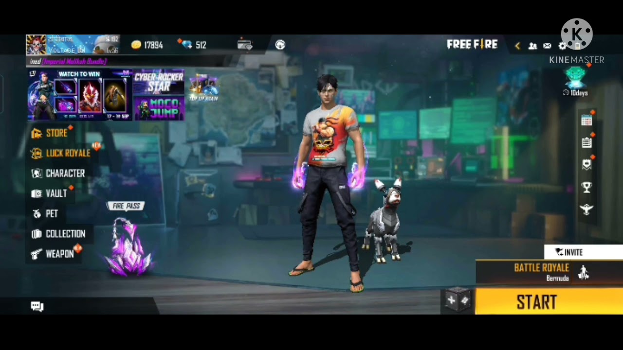 DOUBLE VECTOR SKIN 1 SPIN TRICK