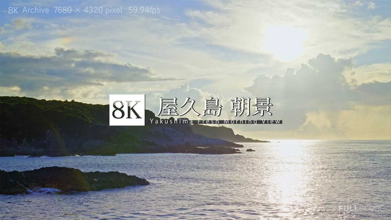 屋久島 朝景 [8K footage] Yakushima Fresh Morning View