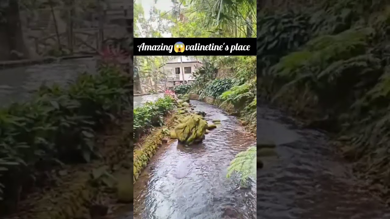 amazing 😱valinetine's place#shortvideo #wow#valintineday
