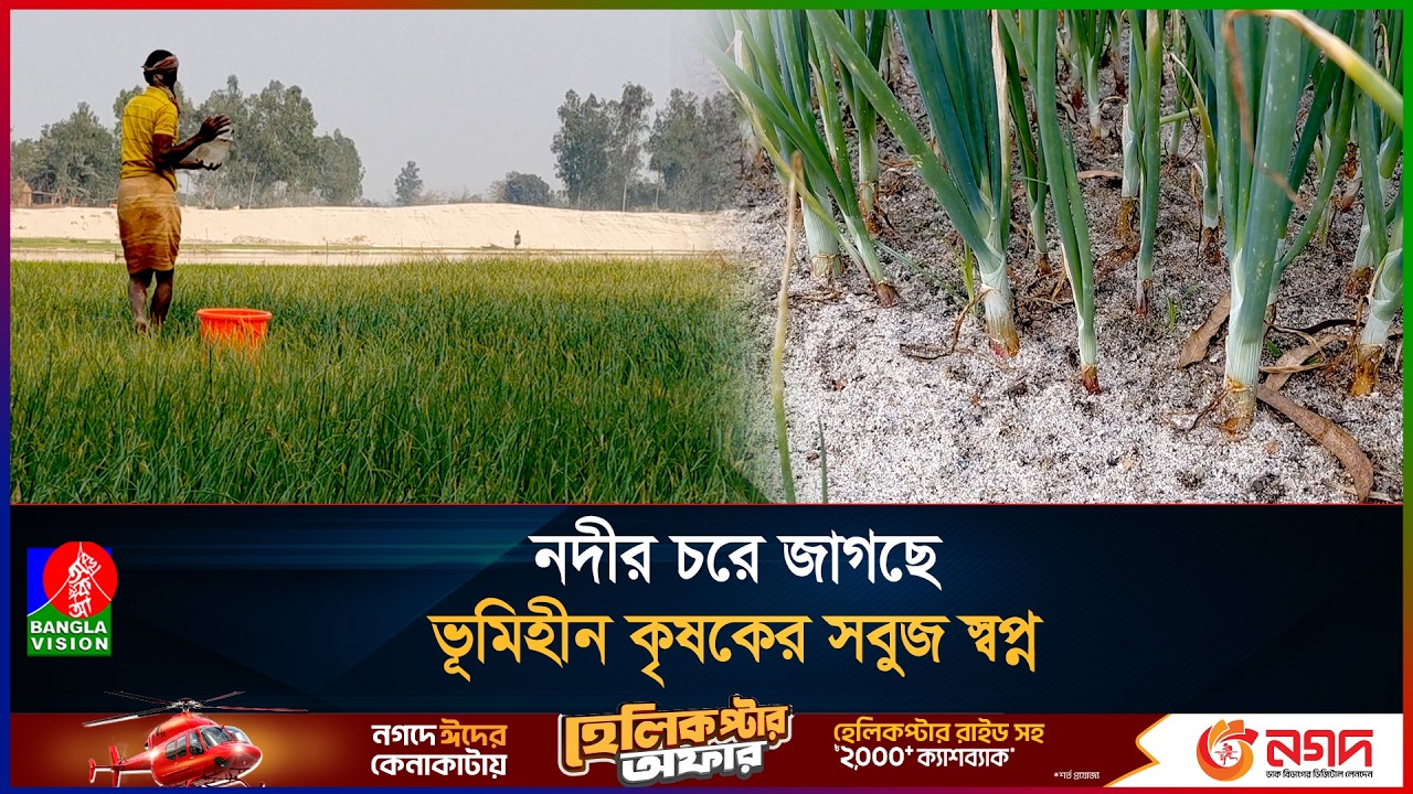অবহেলিত নদীপাড়ের বালুচরে ফসল চাষ, বদলাচ্ছে ভূমিহীন কৃষকের জীবন