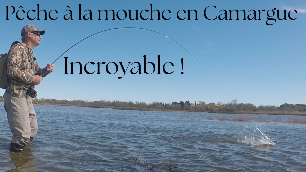 Camargue Flyfishing un spot de rêve pour traquer la carpe à la mouche dans une nature sauvage
