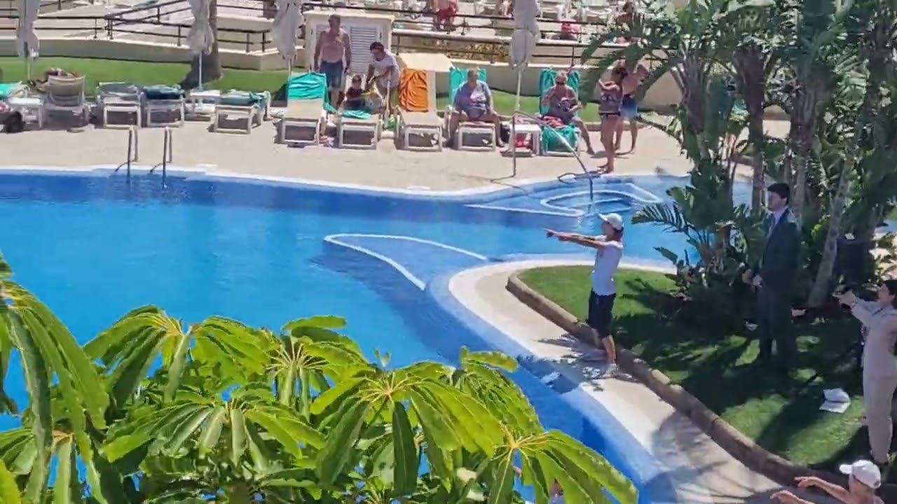 Iberostar Wave Paya Gaviotas, Clubtanz am Pool,