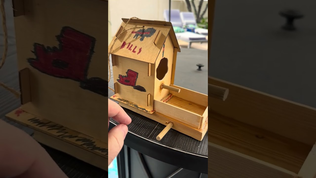 Birdhouse Project with my Son