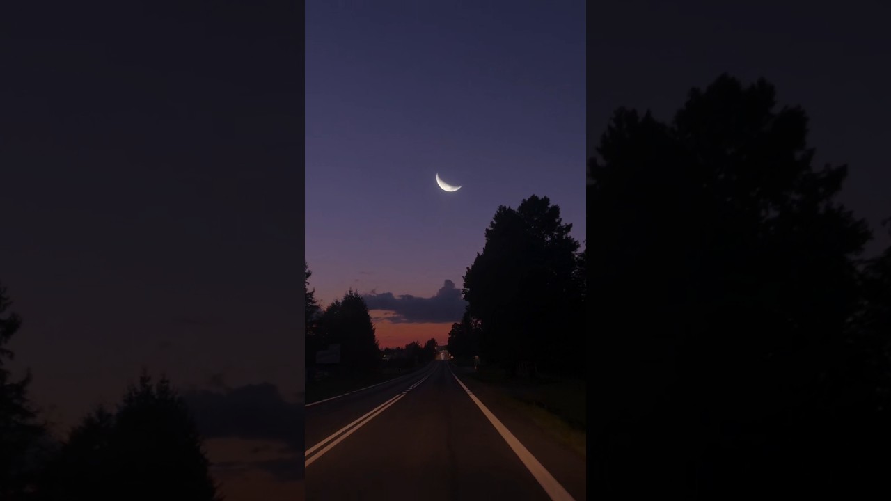 What if the Moon was replaced by Mercury?