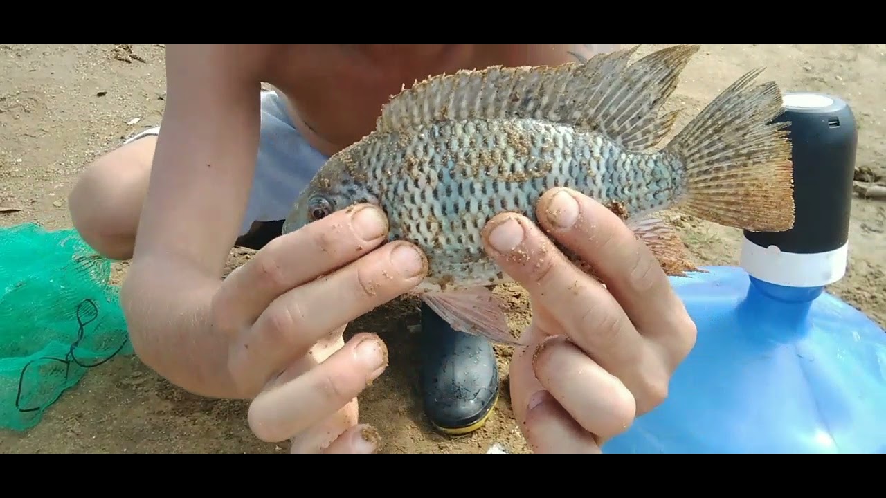 Pesca e Frito na Represa Billings- Tomei um couro feio do Guilherme