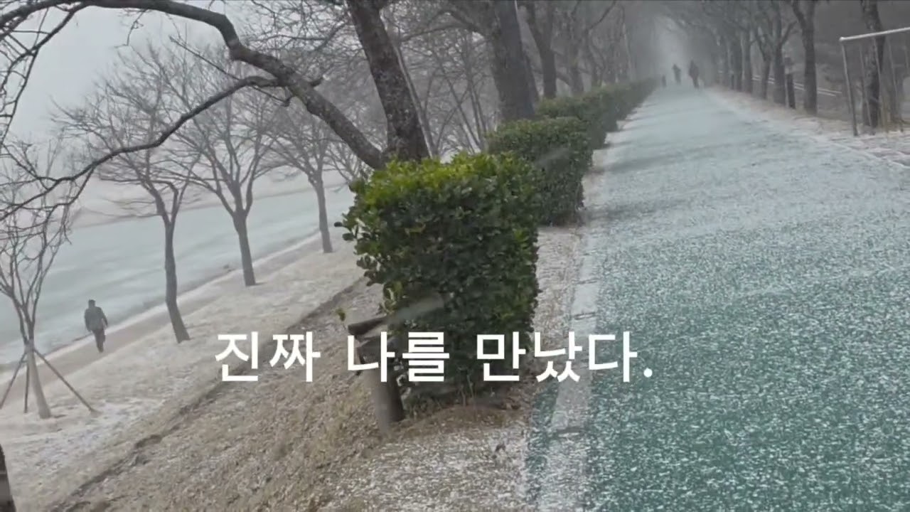 📚👉월든  헨리 데이비드 소로 | 단순하게 산다는 것에 대하여 Walden Henry David Thoreau About living simply