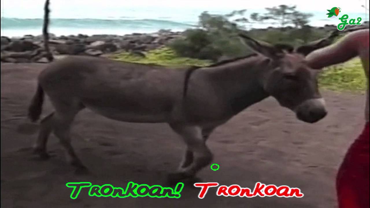Astotxoa gure astotxoa OSKORRI