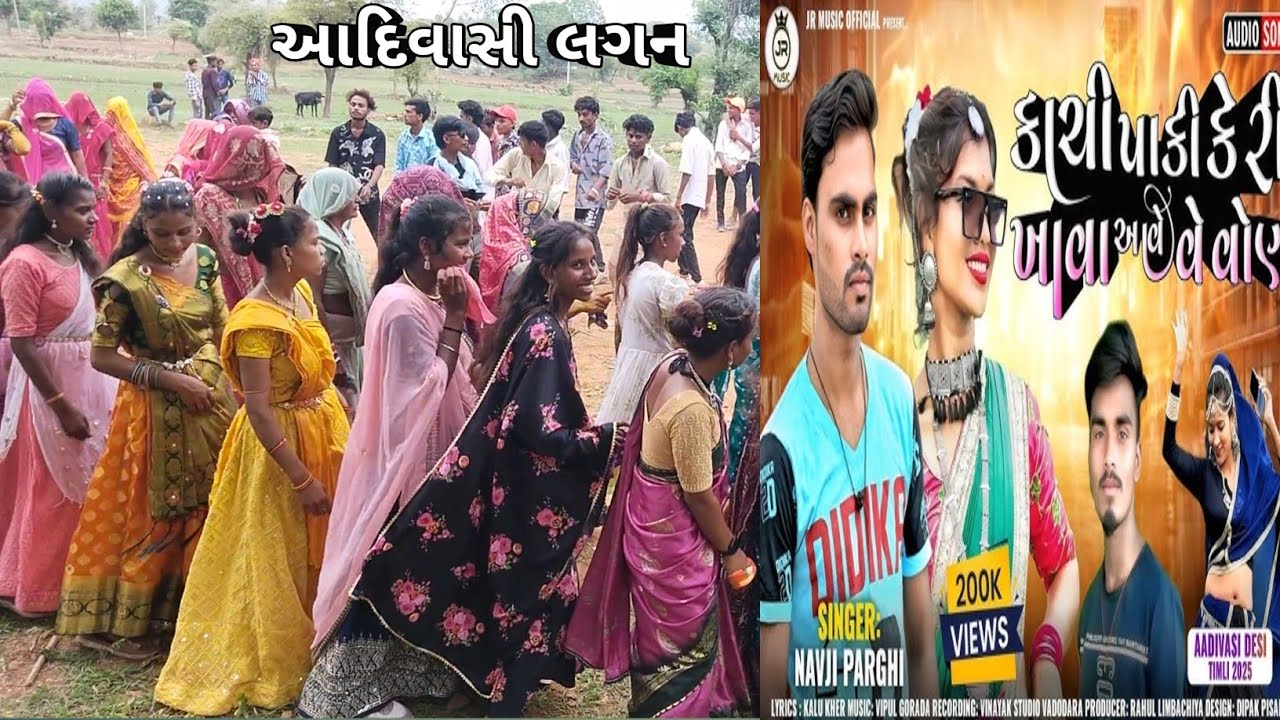 કાચી‌ પાકી કેરી ખાવા આવે વેવોણ @ navaji parghi timali song@AadivasiLife