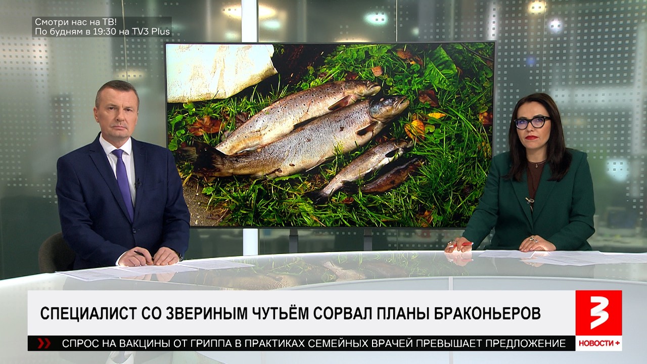 Большой криминальный улов в Латвии. &laquo;Новости+&raquo;, 19 октября 2026 г.