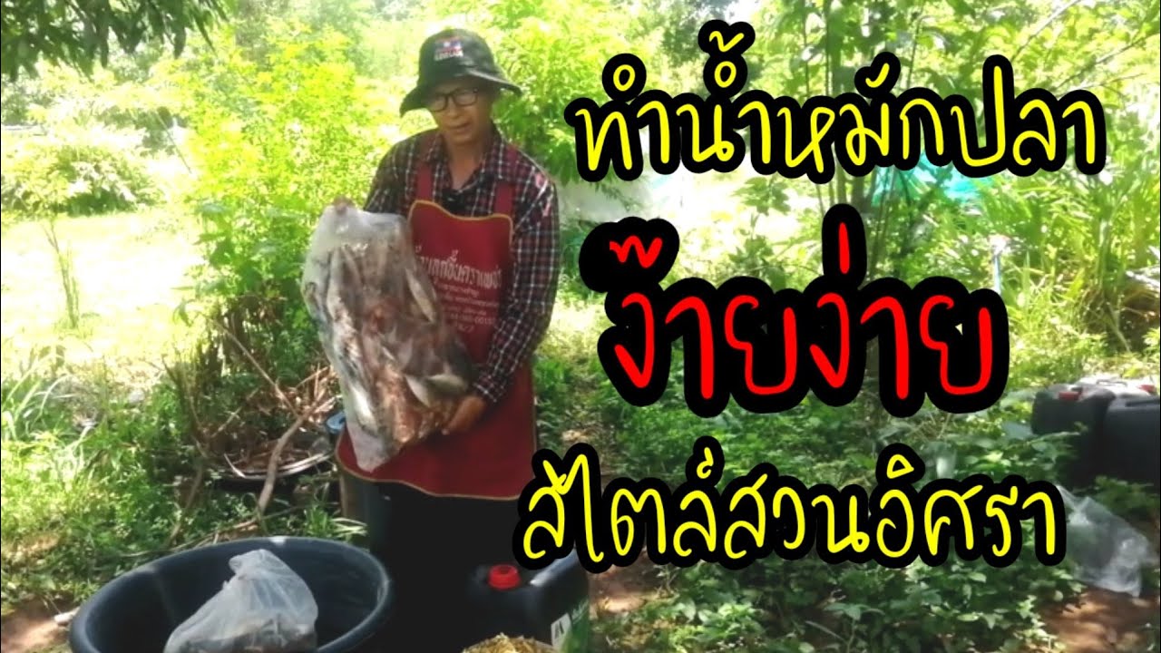 ทำน้ำหมักปลา.ง๊ายง่าย.สไตล์​สวน​อิศ​รา..