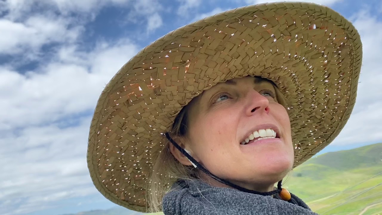 Shoot thinning at The Joy Fantastic Vineyard