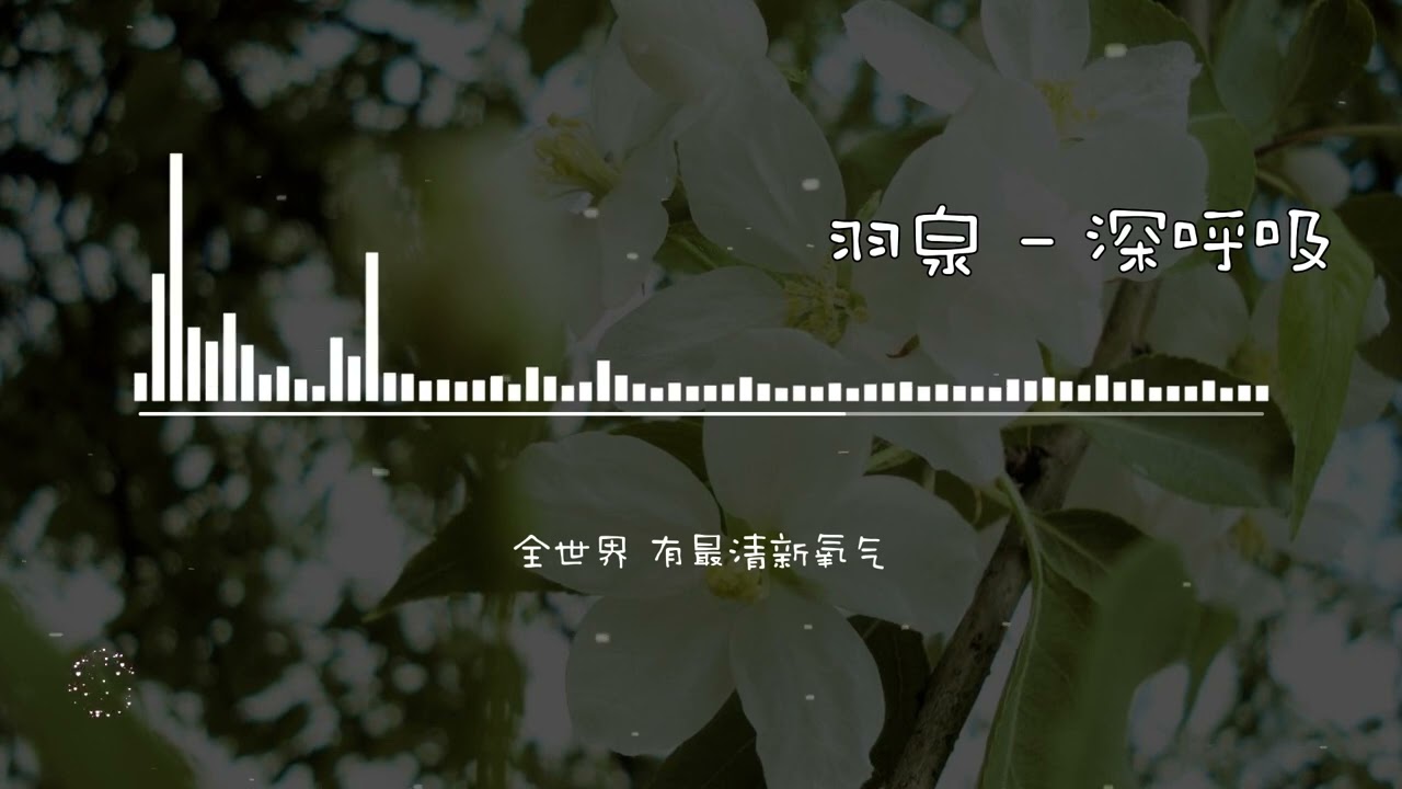 羽泉   深呼吸【高音质无损音乐 动态歌词】