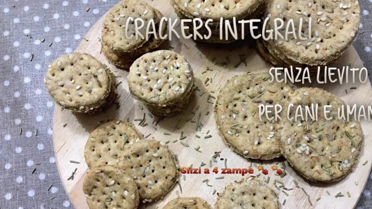 Snack per cani - Cracker  integrali senza lievito per cani e umani -Sfizi a 4 zampe 🐾🐾