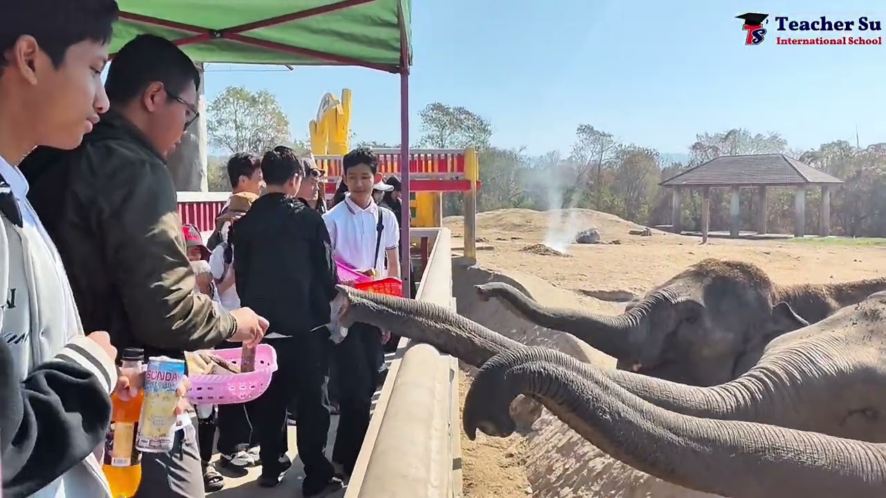 ✨ Memorable moments from our Naypyidaw Day Trip (Language School Program)