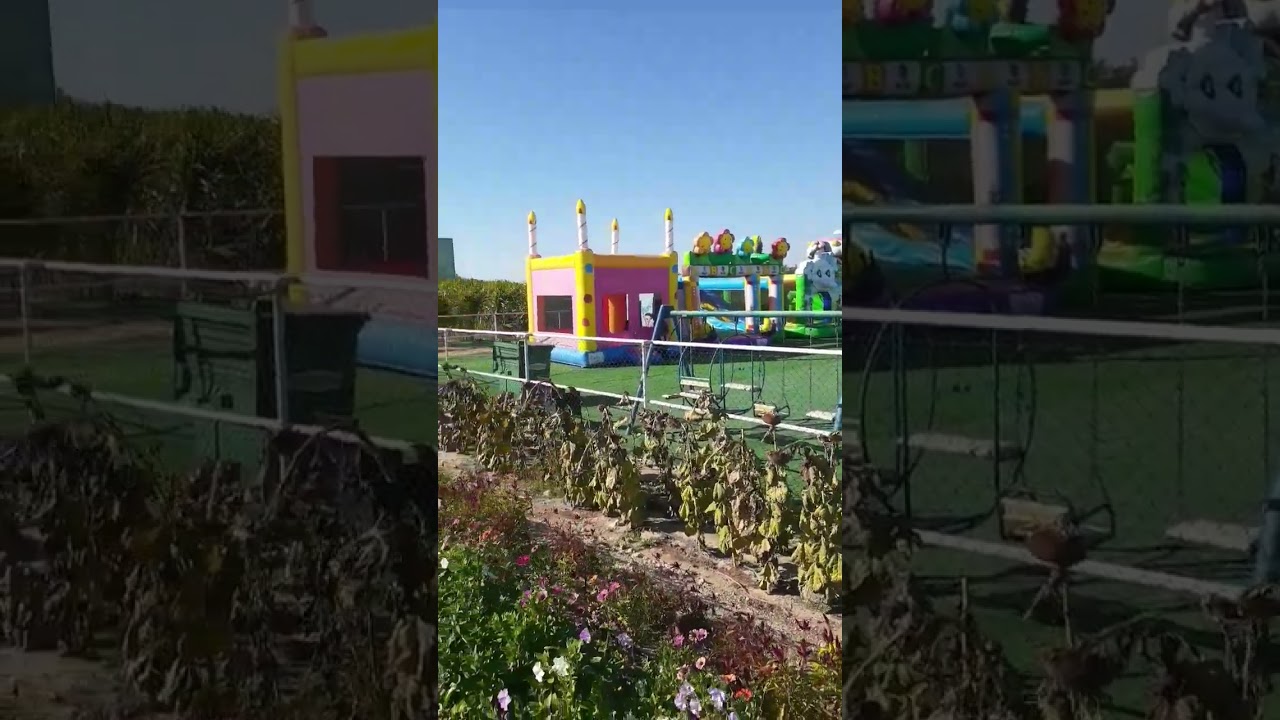 FARM IN ABDALY KUWAIT