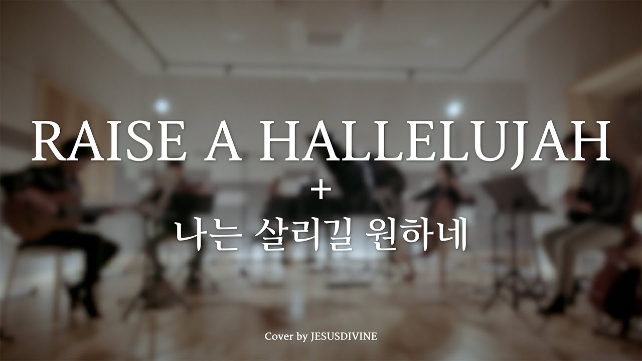 RAISE A HALLELUJAH + 나는 살리길 원하네 cover by JESUSDIVINE(Instrumental)