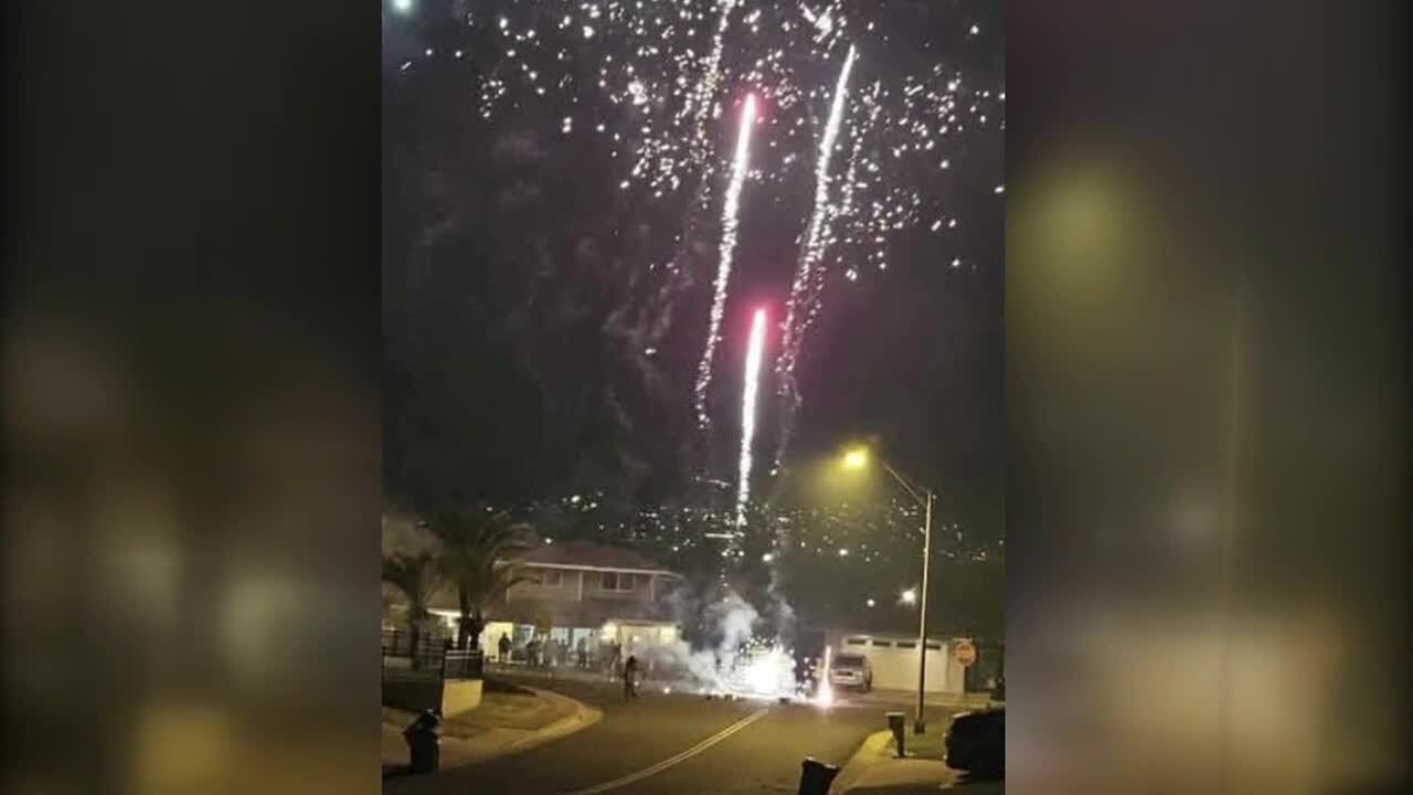 High-profile Hawaii musician cited in a fireworks incident