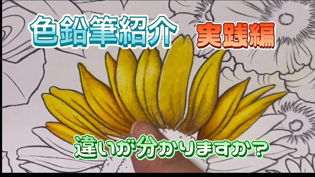 持ってる色鉛筆紹介　実践編です！