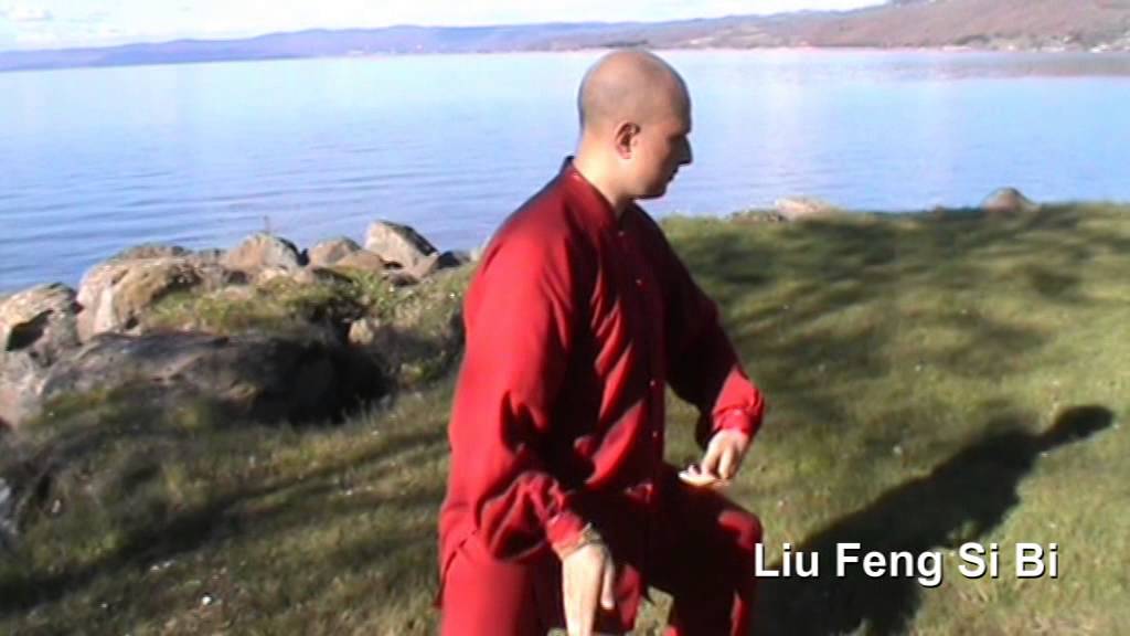 Taiji Ba Shi