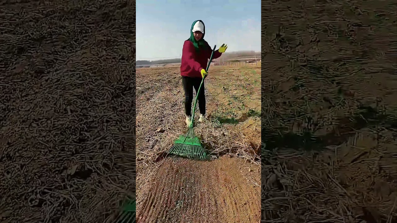 Innovative Land Cleaning Tool! Dual Rake for Easy Field Cleaning 🌾✨ #smartfarming #gardeningtips