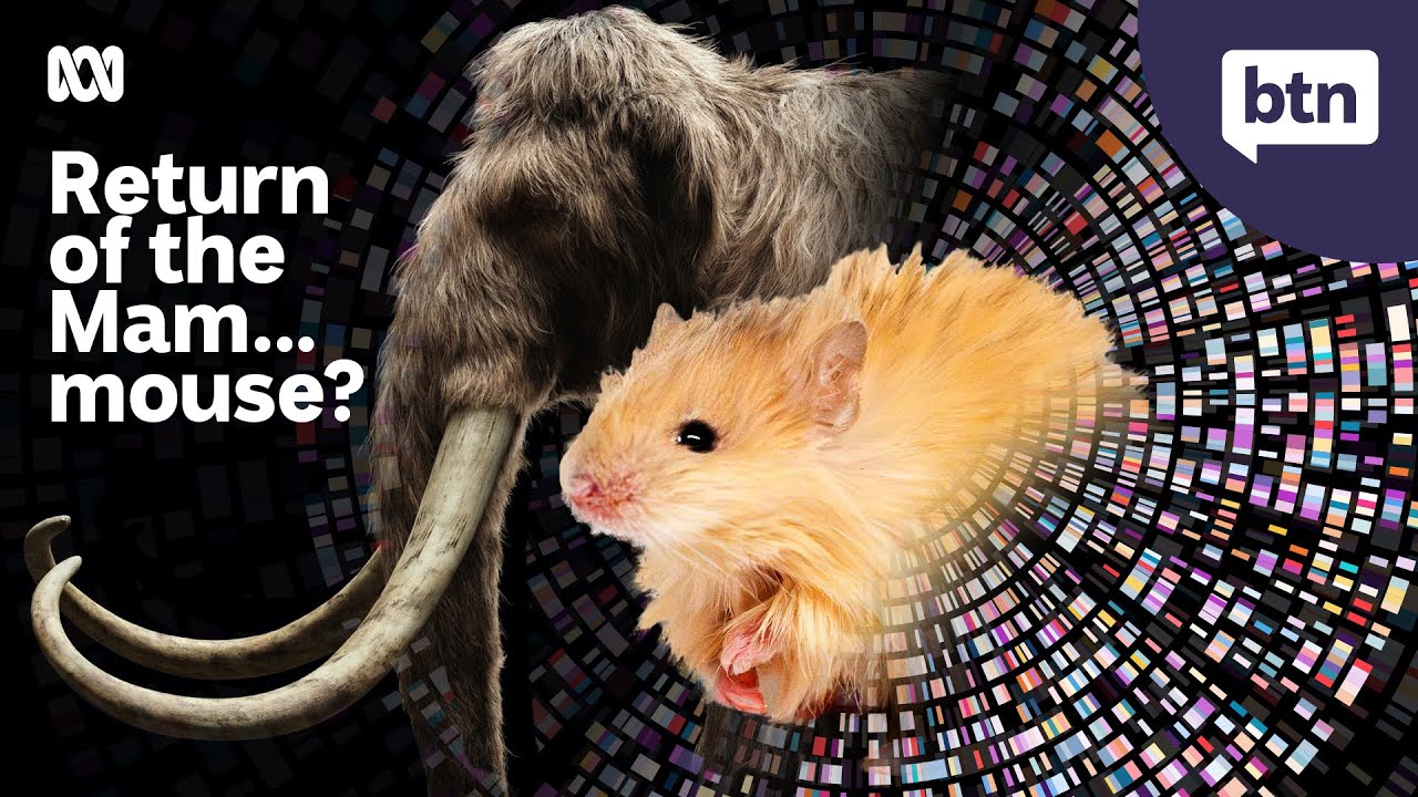 Back from Extinction? - Behind the News