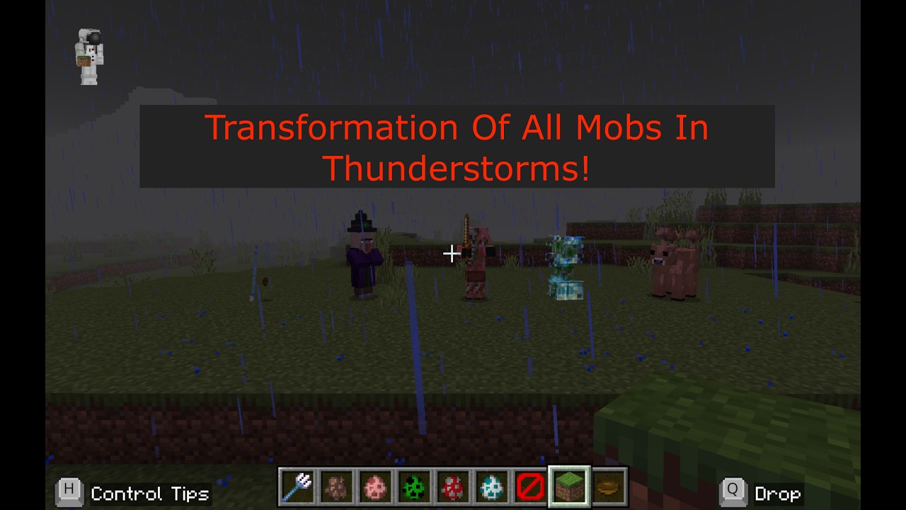 All Thunderstorm Mob Transformations