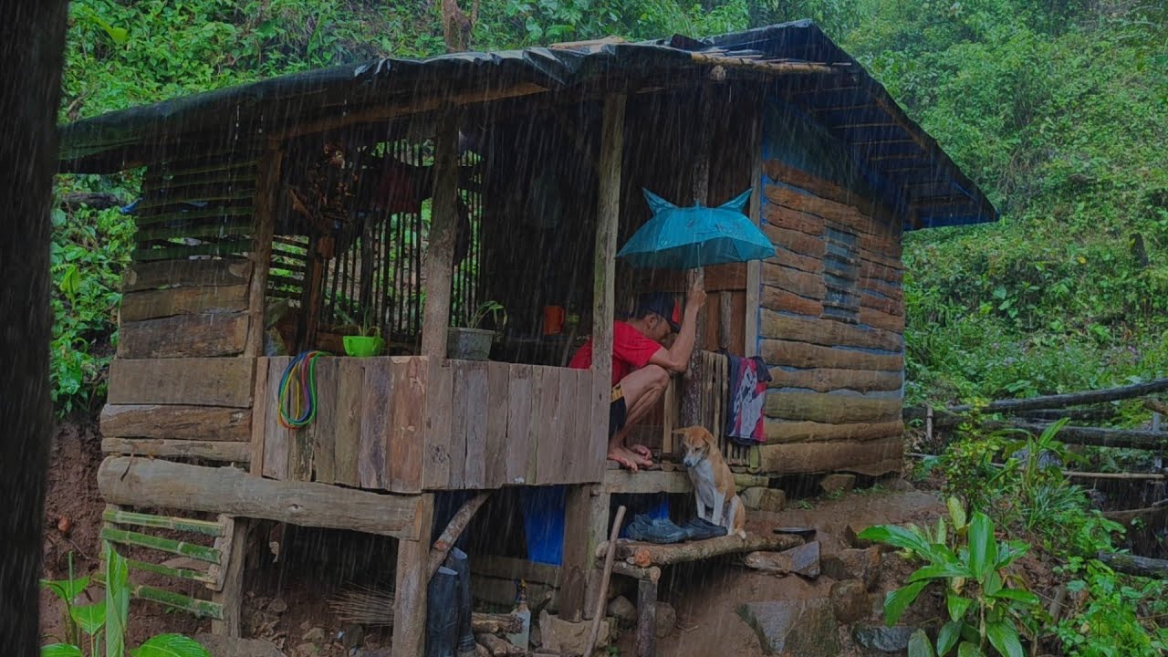 Di Guyur Hujan Deras - Tinggal Di Hutan Mengurus Kebun - Makan labu Kukus Di Tengah Hujan Deras 