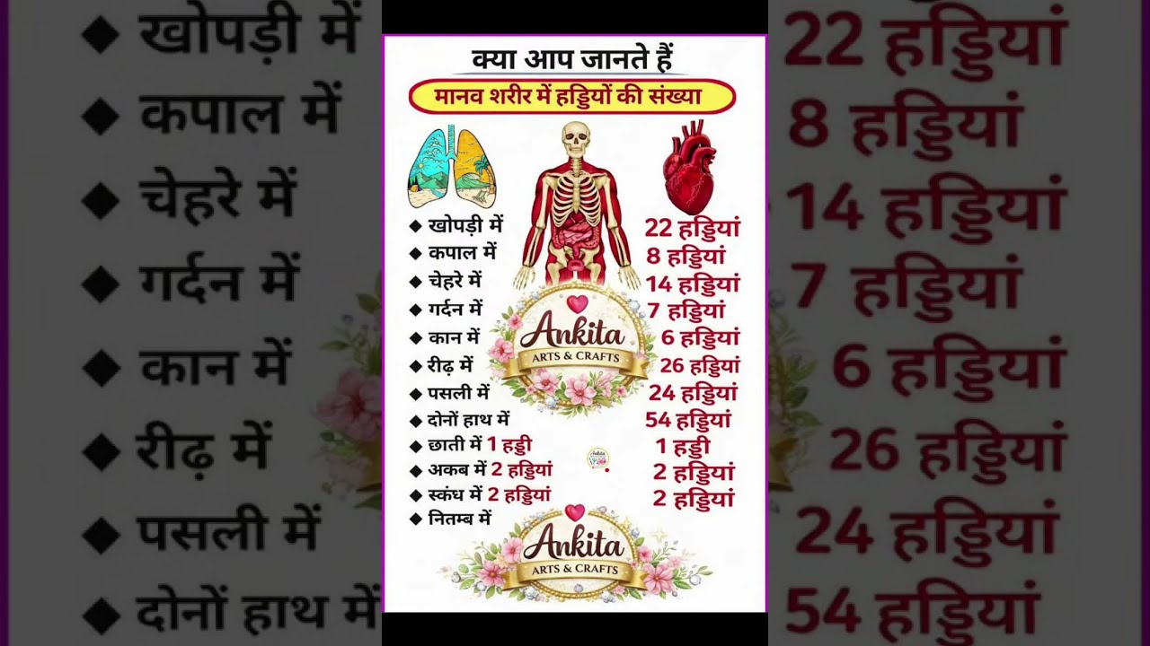 सामान्य ज्ञान | Samanya Gyan | SSC GD | IAS | RRB GK | Important GK Questions 2026 | Live Class