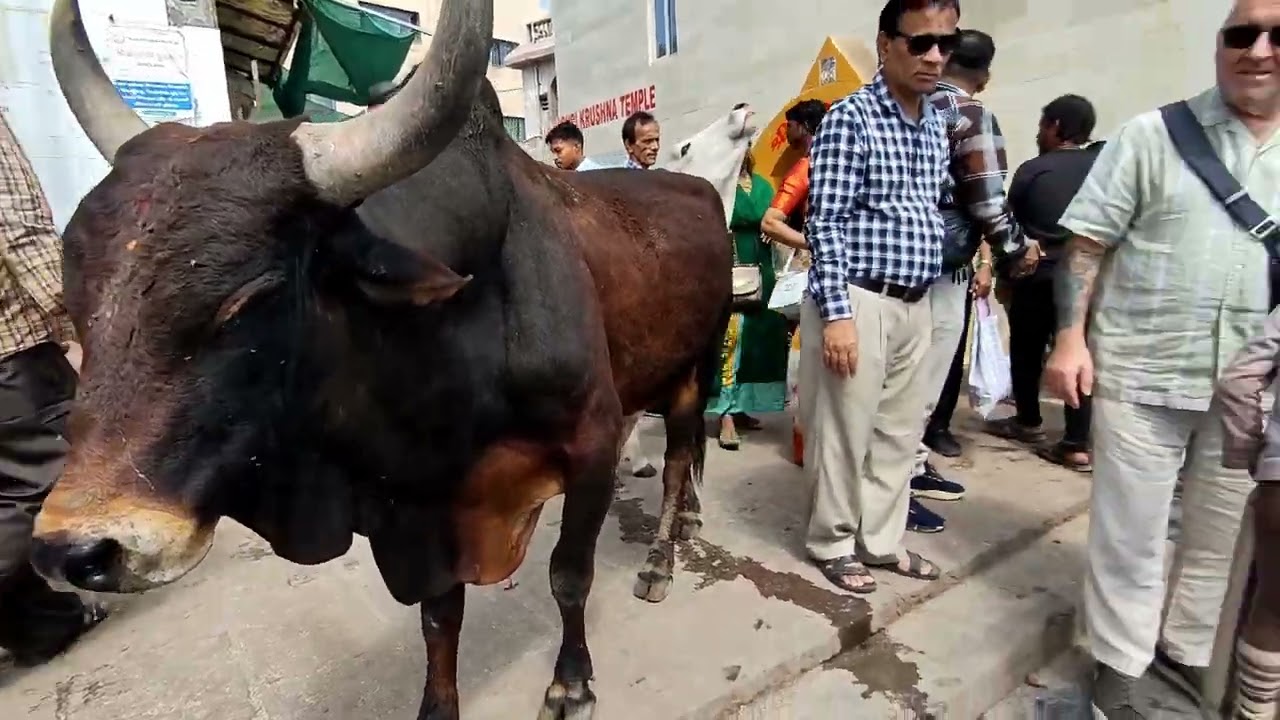 Deaf Saurashtra Tour video