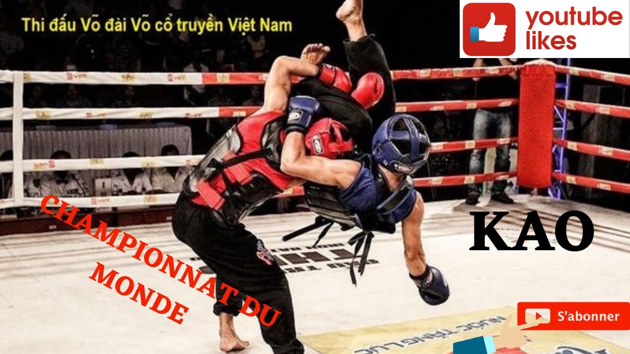 COMBAT VO CO TRUYEN CHAMPIONNAT DU MONDE