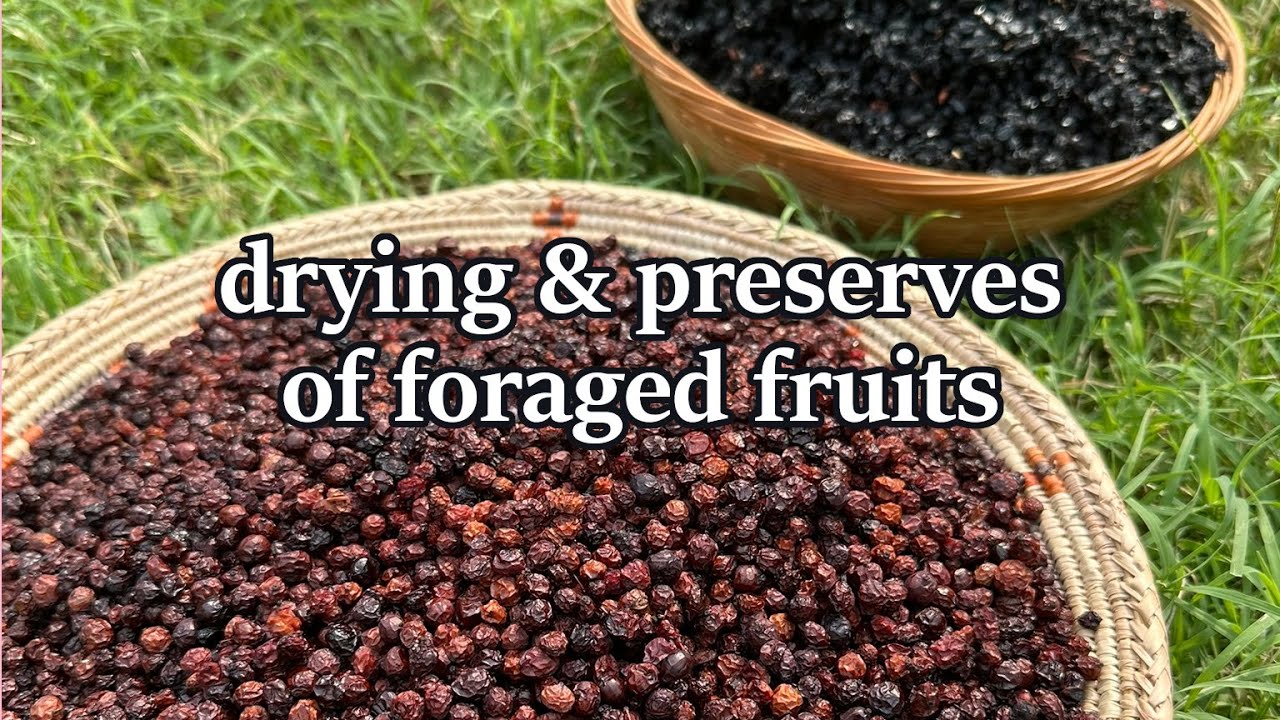How I preserve wild fruits.
