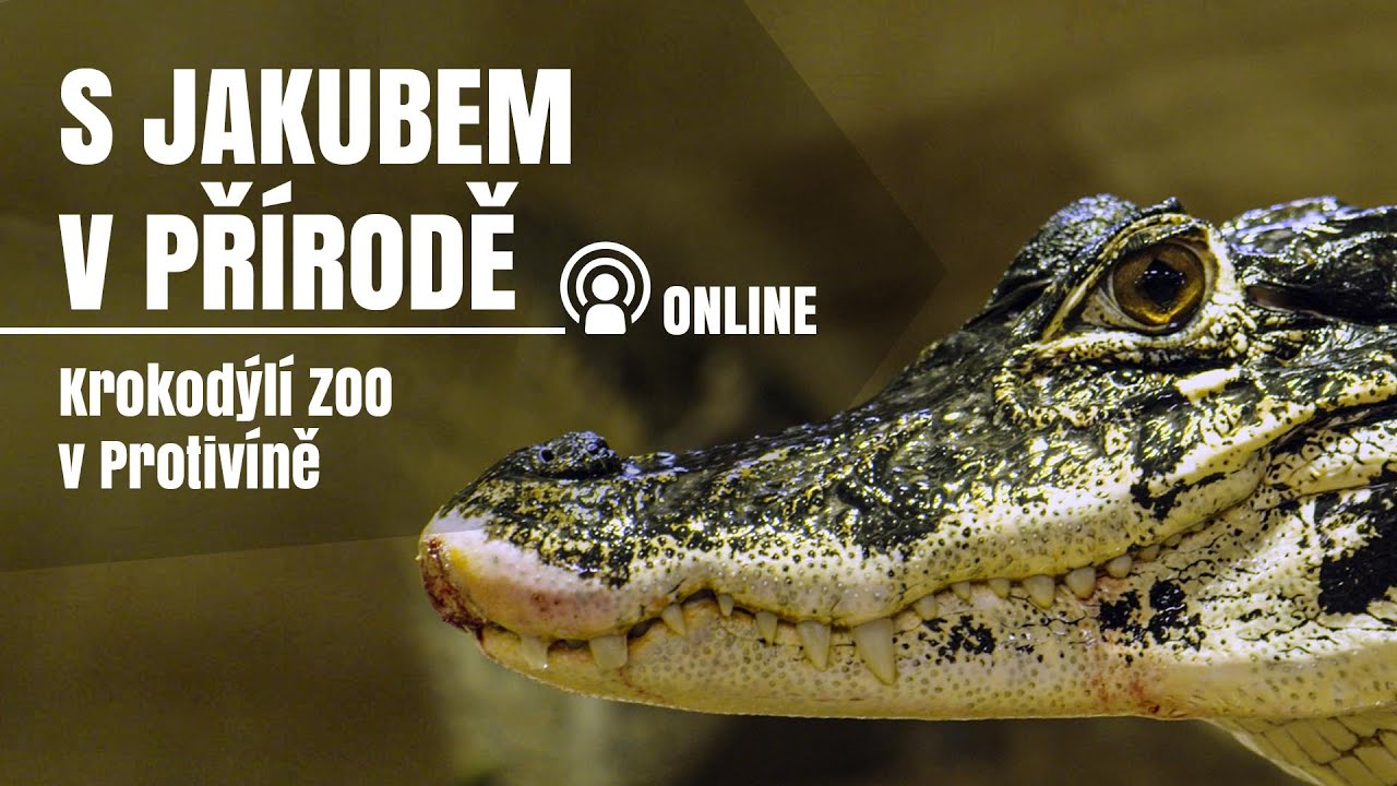 S Jakubem v přířodě online - Krokodýlí ZOO v Protivíně