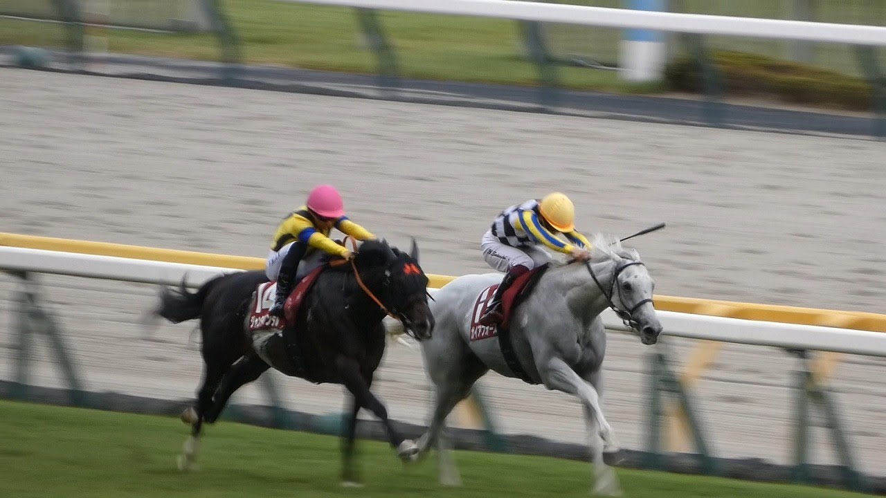 【検証動画】LUMIX DC-FZ85Dで競馬撮影はできるのか？富士ステークスでチャレンジ