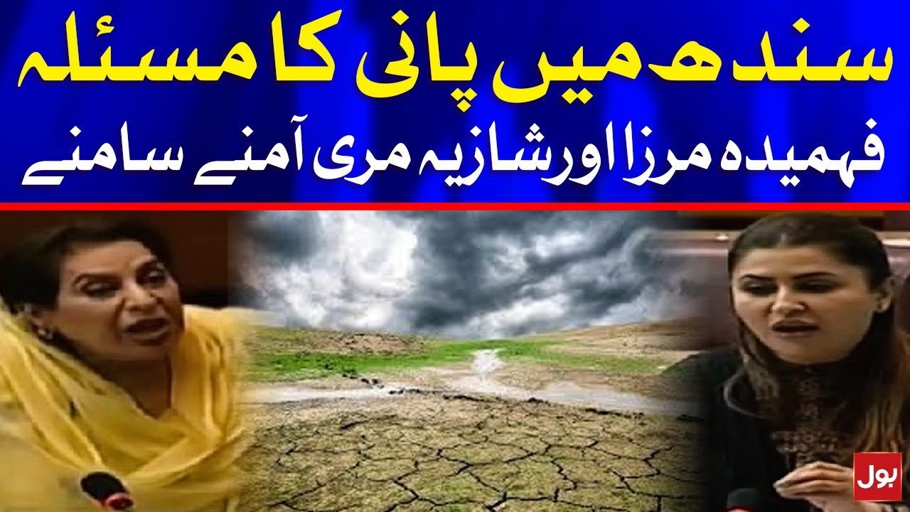 Fahmida Mirza Fight With Shazia Marri in National Assembly on Water Crises