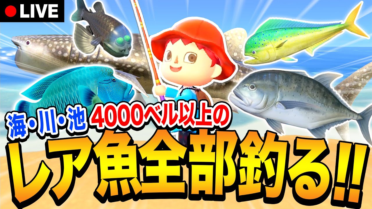 【生配信】8月のレア魚（海・川・池）21種類ぜんぶ釣るまで終われナイト☆【あつ森Live】