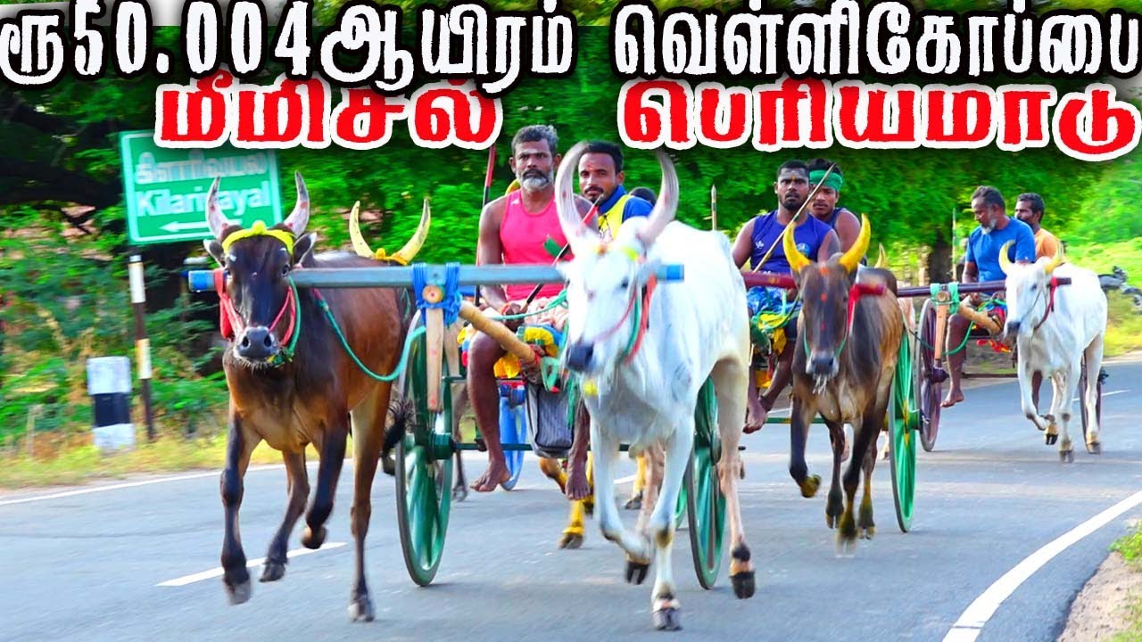 3மீமிசல் மாவட்டம் பந்தயம் 20.09.2023