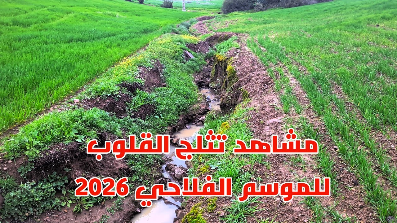 مناظر خلابة تريح النفوس موسم فلاحي جيد خيرات نتاع زرع وربيع