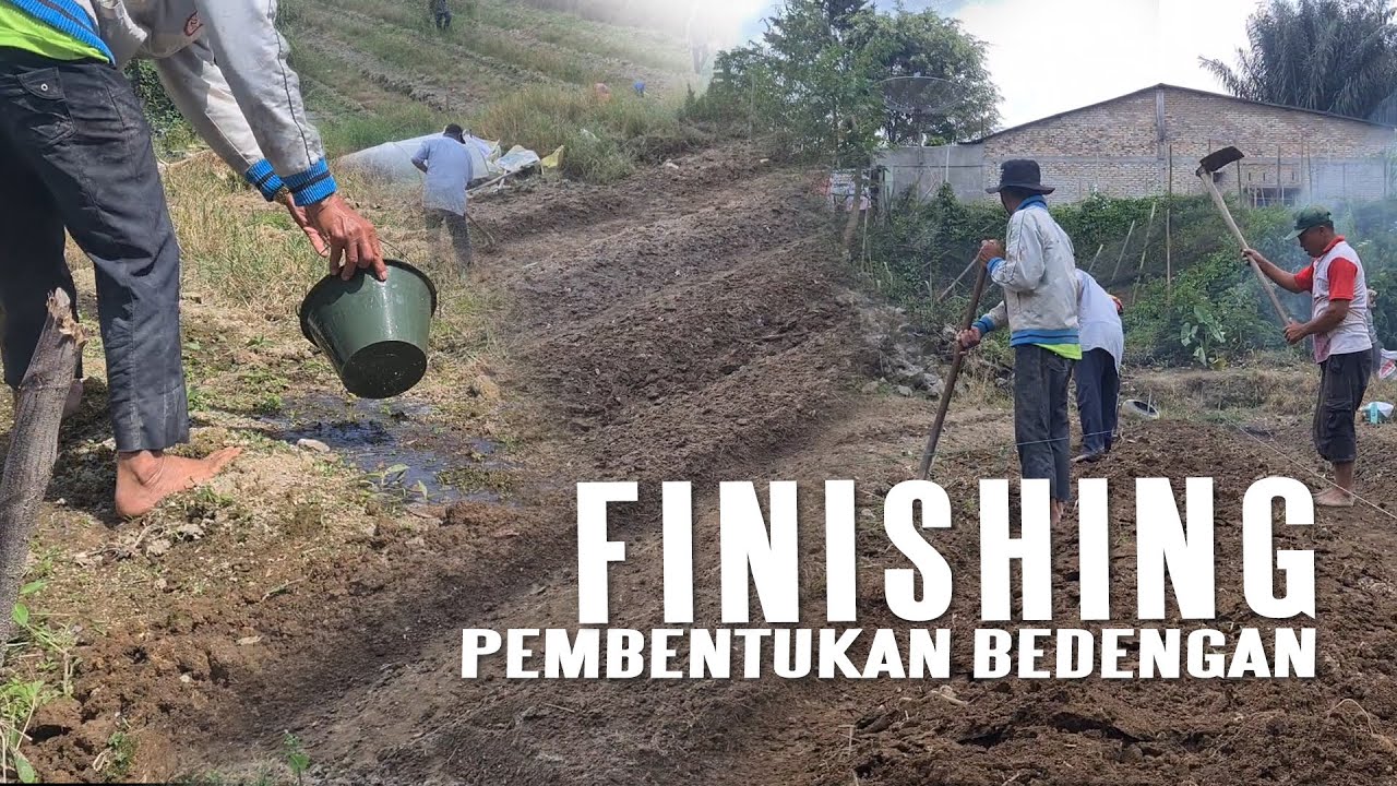 DAKA EPS 4 || FINISHING BEDENGAN DAN PENYIRAMAN KEMBALI DENGAN KOMPOS PERMENTASI