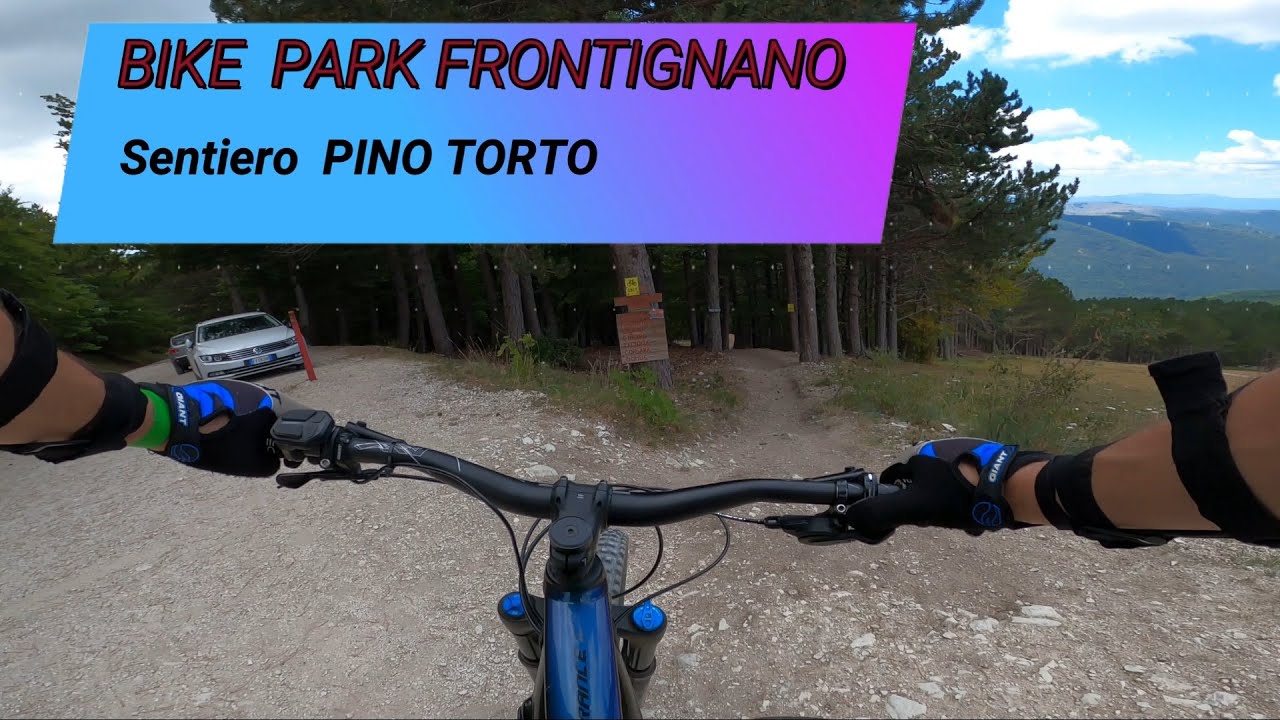 PINO TORTO - Frontignano Bike Park