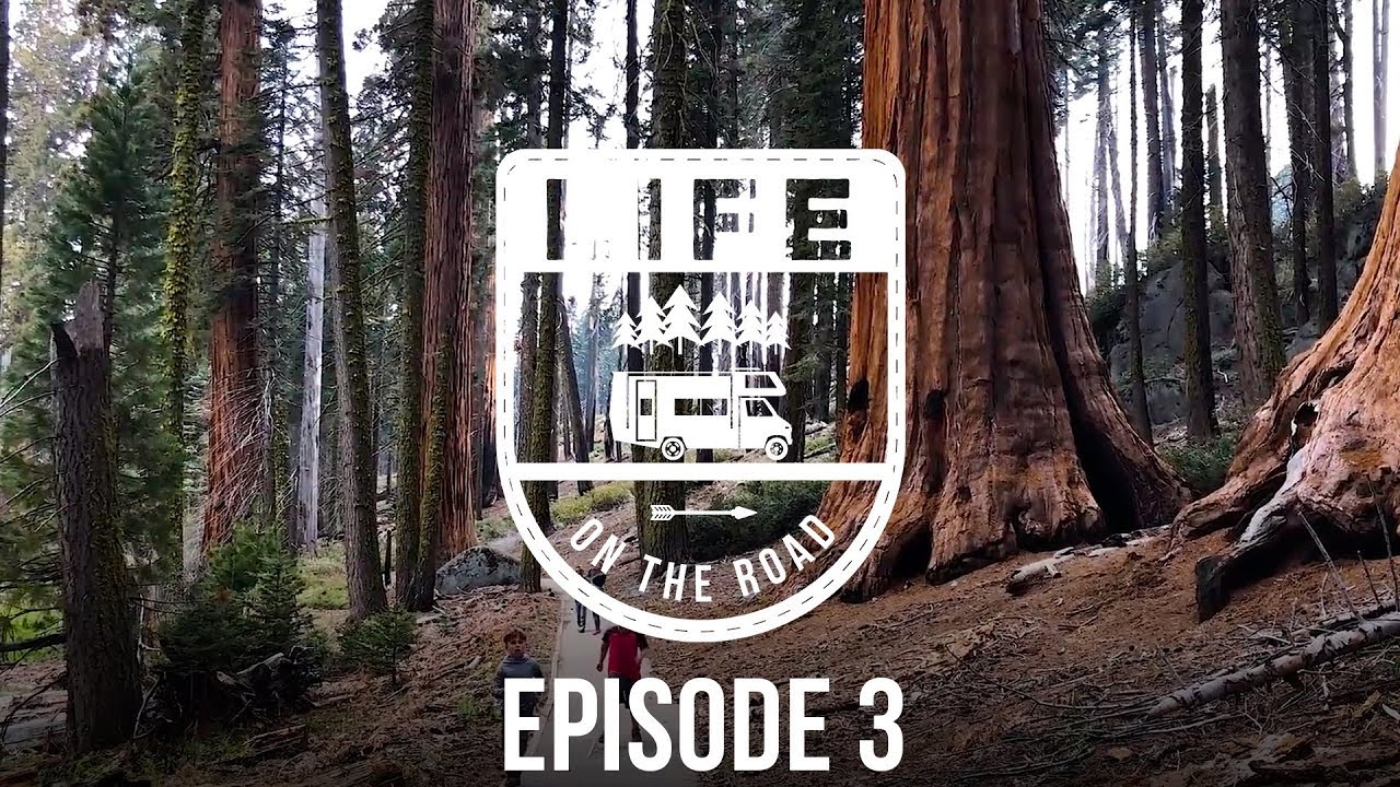 Life on the Road: Crazy Family Adventure Episode 3