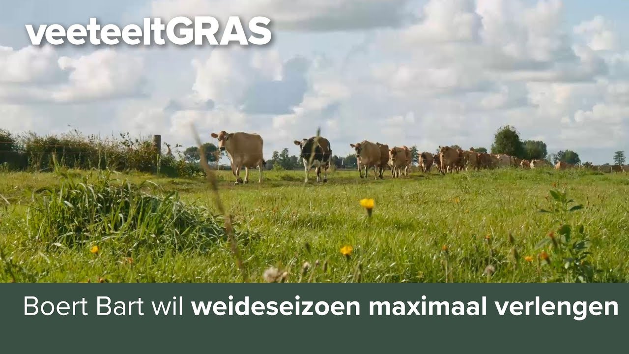 Vlog Boer Bart: maximaal verlengen weideseizoen