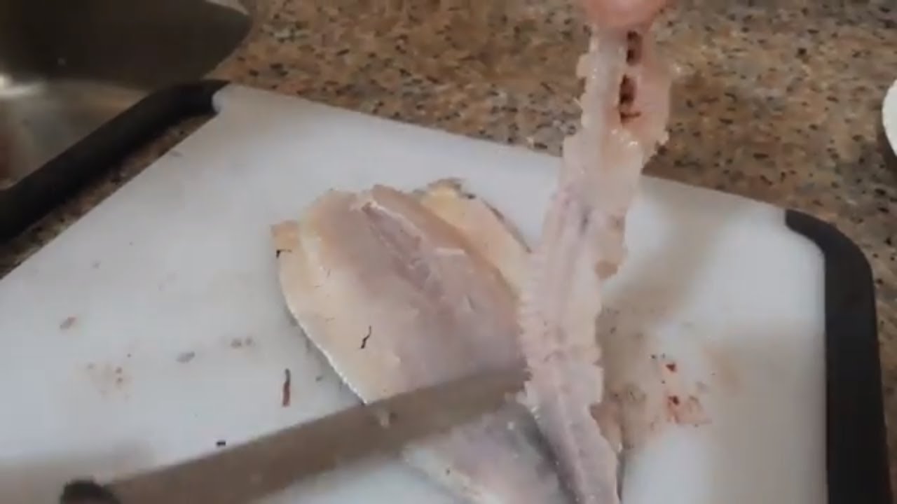 mezgit balığı fileto &ccedil;ıkarma nasıl yapılır How to Fillet Fish whiting ?