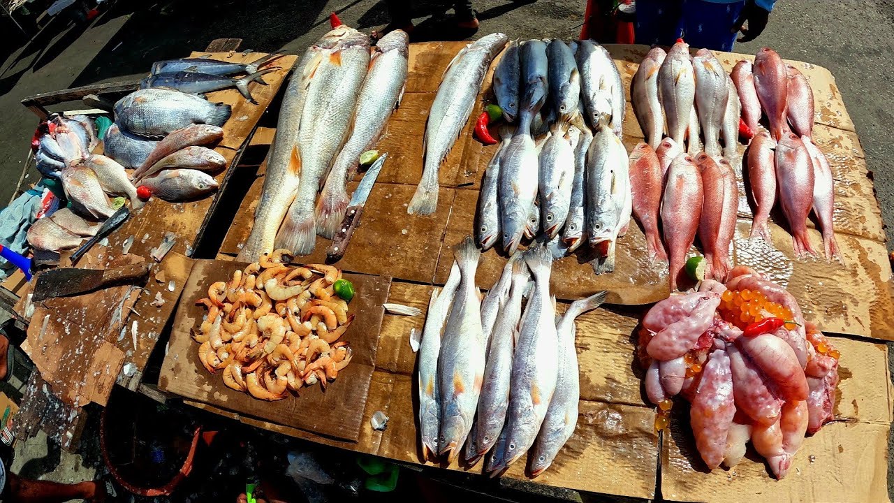 PARIKA MARKET DAY TOUR.