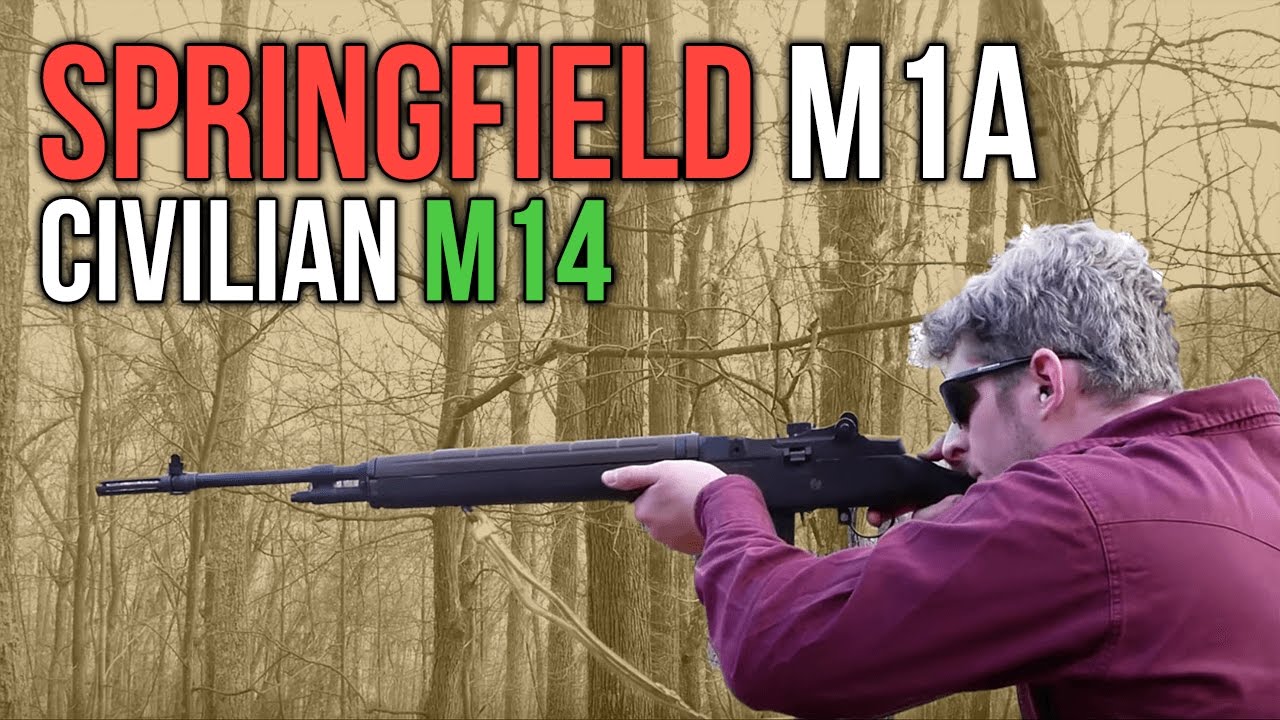 Springfield M1A: An M14 Rifle For The Rest Of Us